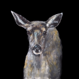 V174 - Doe
