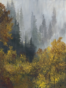 V176 - Morning Fog